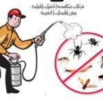 رجال يرتدون ملابس واقية ينفثون مبيدات حشرية في منطقة معينة لإبادة الحشرات.