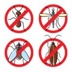 رجال يرتدون ملابس واقية ينفثون مبيدات حشرية في منطقة معينة لإبادة الحشرات.